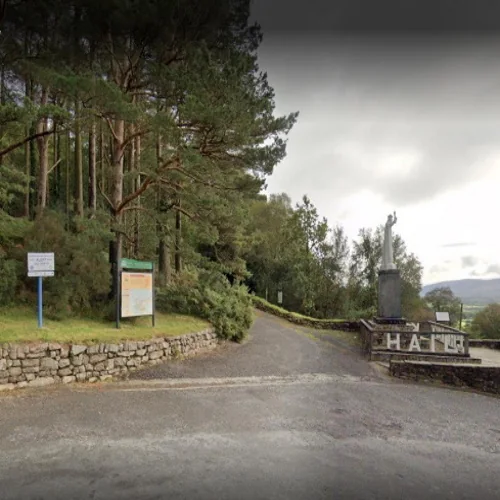 A lane leading into tall conifers, with a stone wall and a sign at the trees