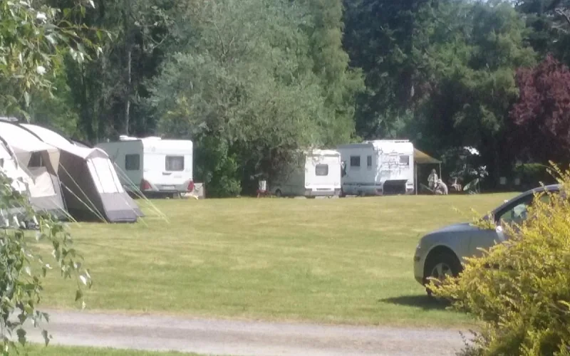 Caravans and motorhomes on the grass pitches, with trees behind